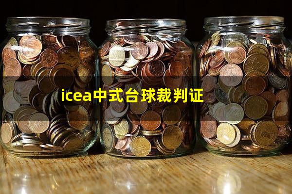 icea中式台球裁判证
