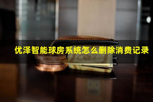 优泽智能球房系统怎么删除消费记录