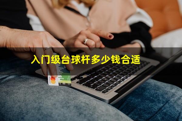 入门级台球杆多少钱合适