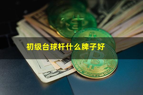 初级台球杆什么牌子好