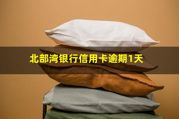 北大银行信用卡逾期 北部湾银行信用卡逾期1天