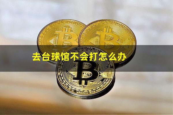 去台球馆不会打怎么办