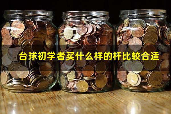 台球初学者怎么选杆 台球初学者买什么样的杆比较合适