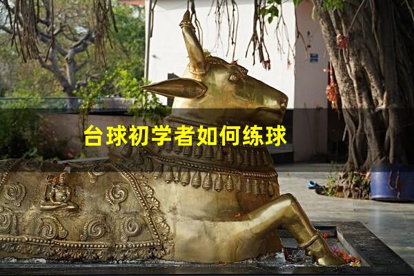 台球初学者如何练球