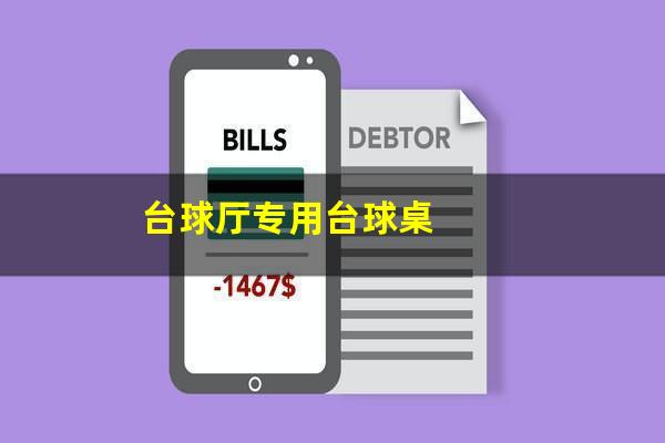 台球厅专用台球桌