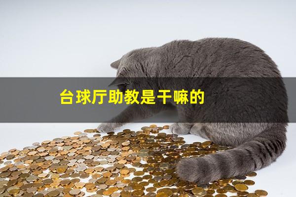 台球厅助教是干嘛的