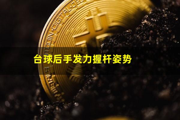 台球后手发力握杆姿势