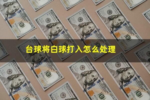 台球将白球打入怎么处理