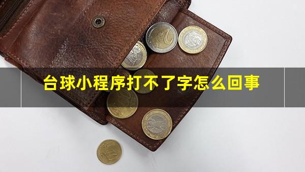 台球小程序打不了字怎么回事
