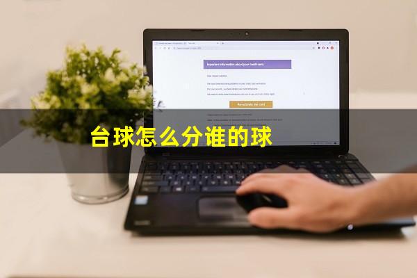 台球怎么分谁的球