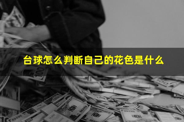 台球怎么判断自己的花色是什么