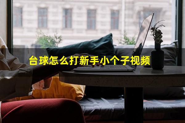 台球怎么打新手小个子视频