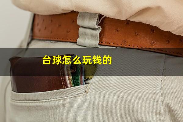 台球怎么玩钱的