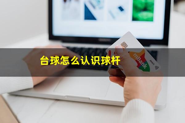 台球怎么认识球杆