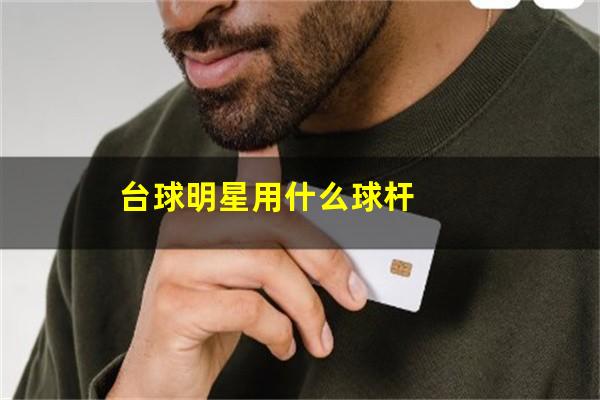 台球明星用什么球杆