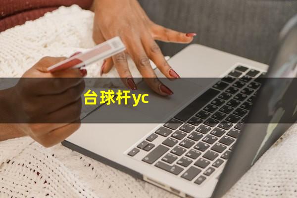 台球杆yc