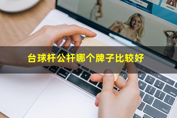 台球杆公杆哪个牌子比较好