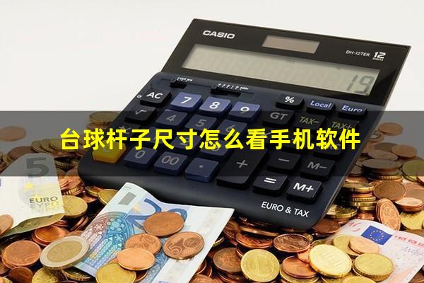 台球杆子尺寸怎么看手机软件