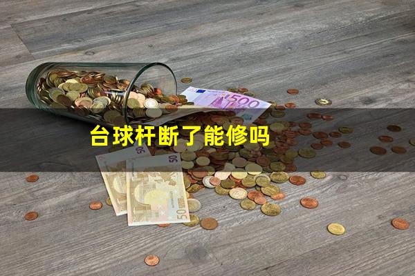 台球杆断了能修吗