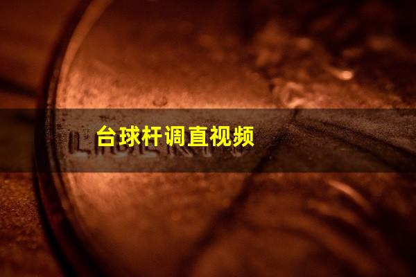 台球杆调直视频