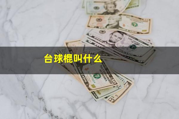 台球棍叫什么