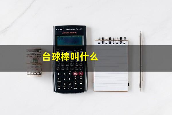 台球棒叫什么