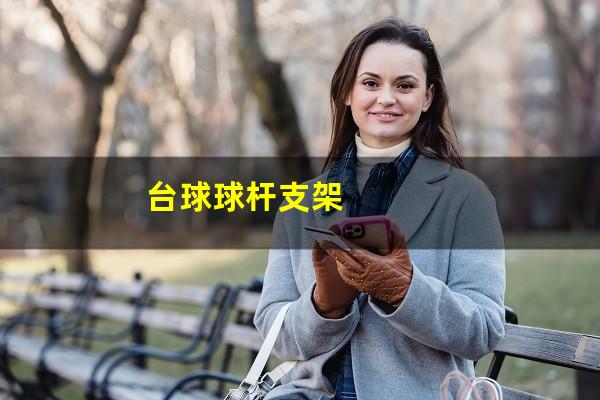 台球球杆支架