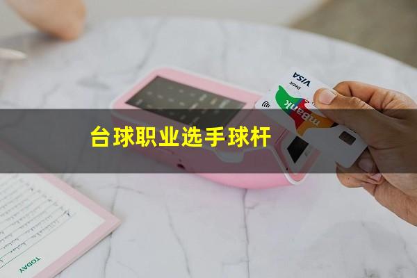 台球职业选手球杆