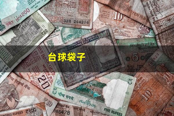 台球袋子