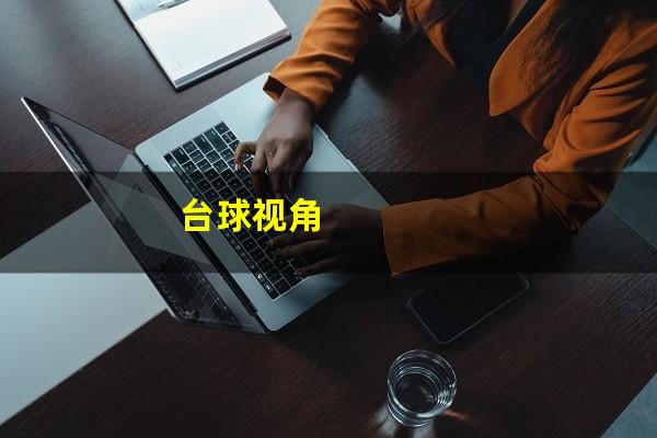 台球视角