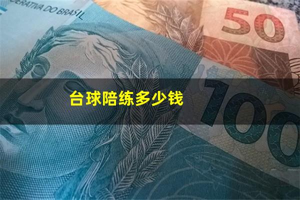 台球陪练多少钱