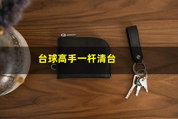 台球高手一杆清台