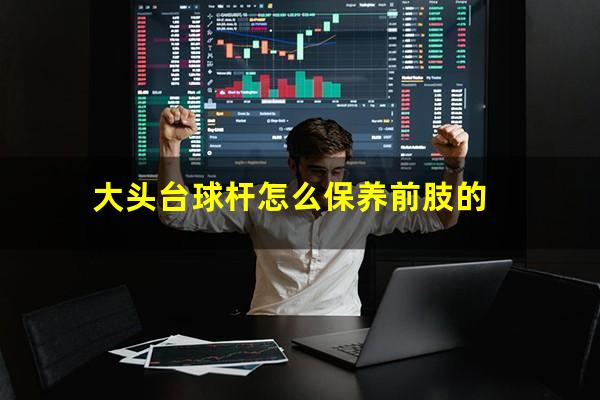 大头台球杆怎么保养前肢的
