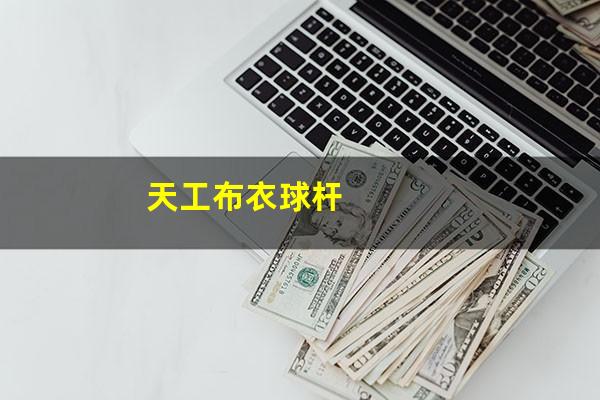 天宫布衣台球杆怎么样 天工布衣球杆