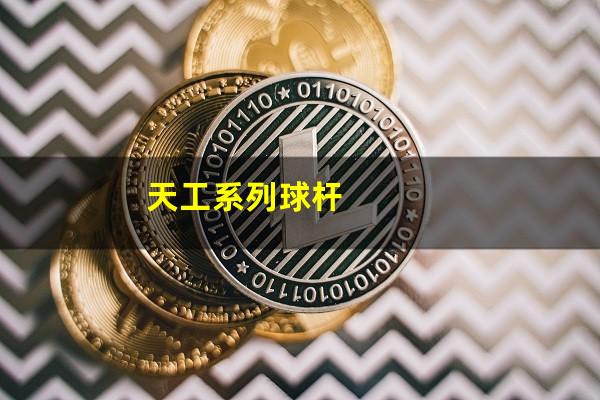 天工系列球杆