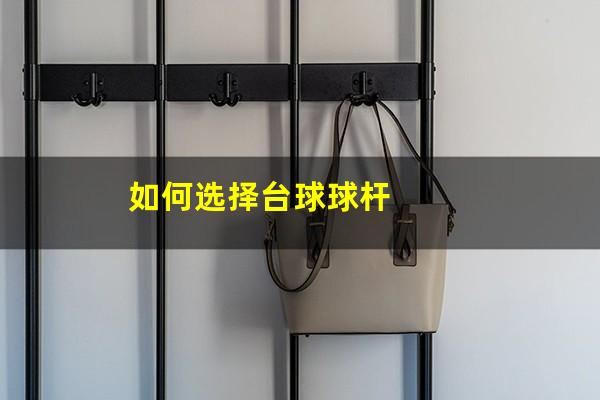 如何选择台球球杆