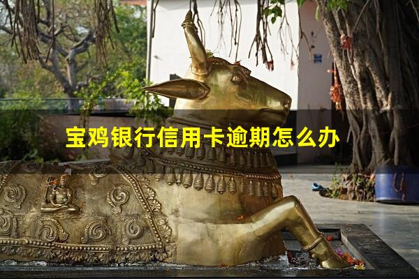 宝鸡银行信用卡逾期 宝鸡银行信用卡逾期怎么办