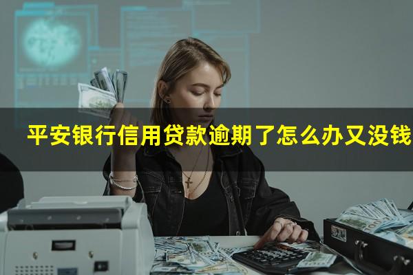 平安银行信用卡逾期欠款 平安银行信用贷款逾期了怎么办又没钱还