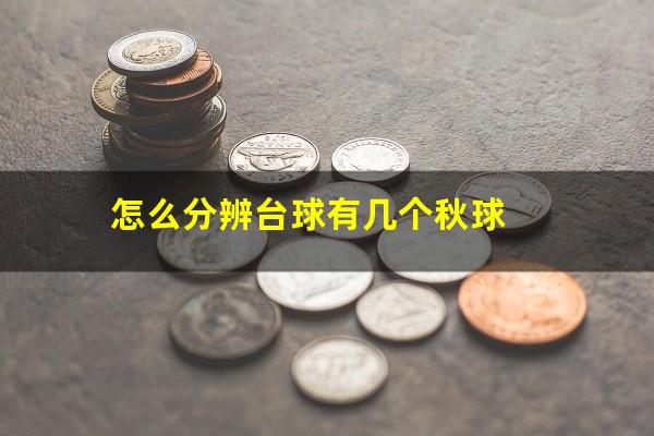怎么分辨台球有几个秋球