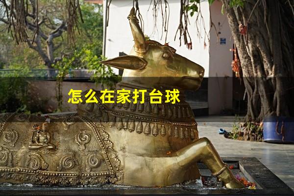 怎么在家打台球