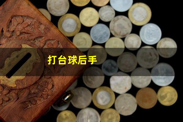 打台球后手
