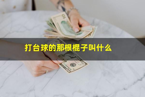 打台球的那根棍子叫什么