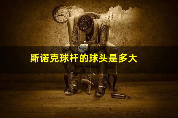 斯诺克球杆的球头是多大