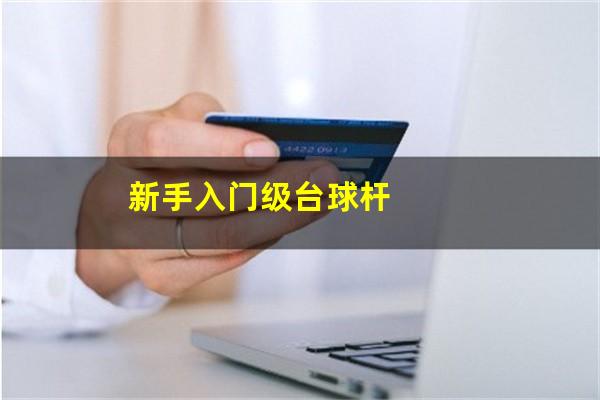 新手入门级台球杆