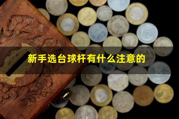 新手选台球杆有什么注意的