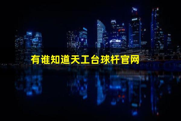 有谁知道天工台球杆官网