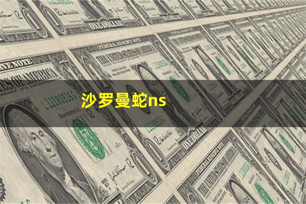 沙罗曼蛇ns