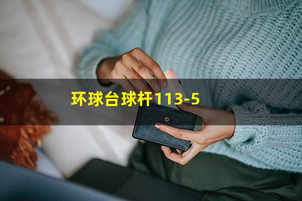 环球台球杆113-5