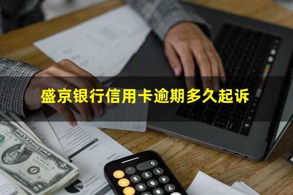盛京银行信用卡逾期 盛京银行信用卡逾期多久起诉