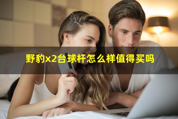 野豹x2台球杆怎么样值得买吗